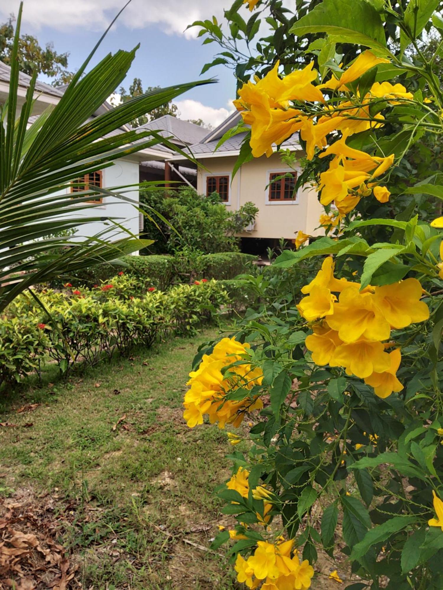 Baan Innto Resort Fang Exterior photo